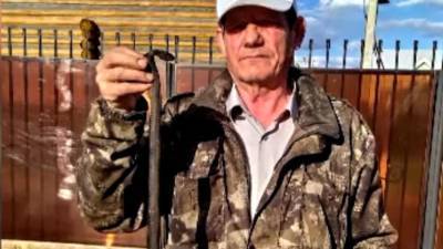 Тюменец нашел змею на своем дачном участке - mur.tv - Тюменская обл.