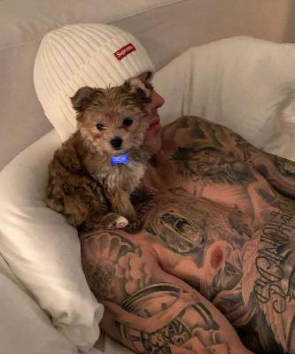 Джастин Бибер - Family look: Джастин Бибер и его собака в одинаковых гавайских рубашках - elle.ru