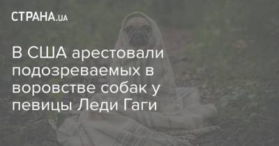 Юлий Тимошенко - В США арестовали подозреваемых в воровстве собак у певицы Леди Гаги - mur.tv - Сша - Киев - Лос-Анджелес