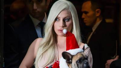 Леди Гага - Джеймс Джексон - Полиция задержала подозреваемых в похищении собак Леди Гаги - tatler.ru - Лос-Анджелес
