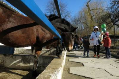 Прокуратура Крыма нашла нарушения в зоопарке, где пострадал ребенок - mur.tv - республика Крым - Симферополь