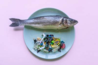 Ученые разработали экопластик из рыбьих отходов... - glamour.ru
