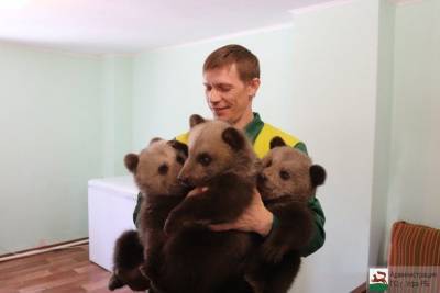 Сотрудники парка Лесоводов в Уфе показали новорожденных медвежат - mur.tv - Уфа
