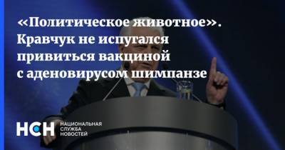 Политическое животное. Кравчук не испугался привиться вакциной с аденовирусом шимпанзе - mur.tv - Украина - Киев