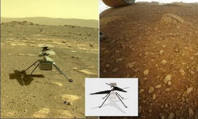 Вертолет-разведчик Ingenuity успешно пережил свою первую ночь на Марсе - porosenka.net
