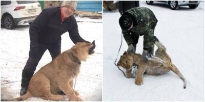 Житель Башкирии завёл себе африканского льва - mur.tv - республика Башкирия