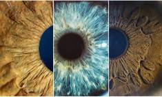 Чудеса макросъемки: фото, доказывающие, что глаза — зеркало души - wday.ru