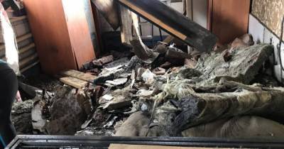 Хозяйка приюта пострадала при взрыве в Кемерове, погибли собаки - mur.tv