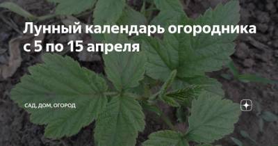 Лунный календарь огородника с 5 по 15 апреля - sadogorod.club