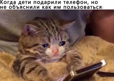 Мемы для пенсионеров (15 фото) - mainfun.ru