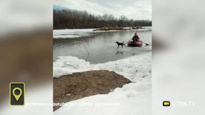 Житель Стерлитамака на надувной лодке спас собаку с льдины - mur.tv - Россия - республика Башкирия - Стерлитамак