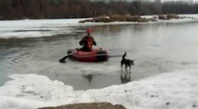 Житель Башкирии спас застрявшую на льдине собаку - mur.tv - республика Башкирия