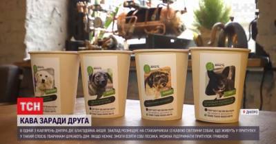 В Днепре кофейня на своих чашках рекламирует собак из приюта, которые ищут хозяев - mur.tv