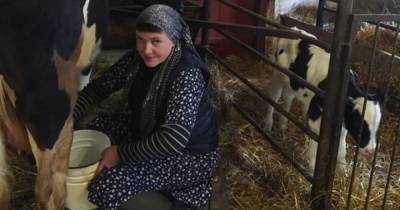 Надежда Савченко - Доит коров и ухаживает за рассадой: Надежда Савченко рассказала, куда делась после большой политики - mur.tv