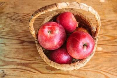 Что сделать, чтобы яблоки дольше хранились: советы дачникам - sadogorod.club