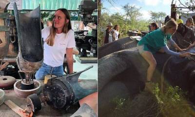 Австралийский Айболит делает протезы для слонов - porosenka.net - Таиланд - Бирма