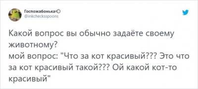 "О чем вы говорите со своими животными?": забавный тред о питомцах в Твиттере (14 фото) - mainfun.ru