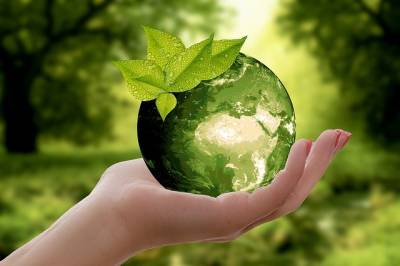 12 мая отмечается Международный день экологического образования - fokus-vnimaniya.com