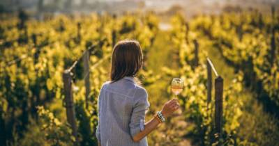 В Украине впервые пройдет Wines of Portugal Grand Tasting 2021 - womo.ua - Украина - Португалия