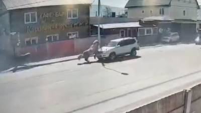 Столкновение лошади с внедорожником на Сахалине попало на видео - mur.tv - Южно-Сахалинск