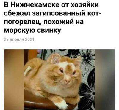 Странные и кликбейтные заголовки из СМИ (15 фото) - mainfun.ru