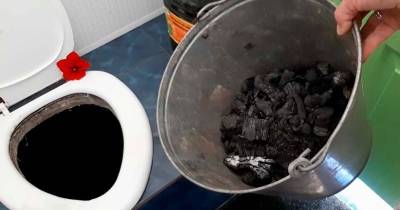 Устраните запах в дачном туалете на 100 % абсолютно без усилий - cpykami.ru