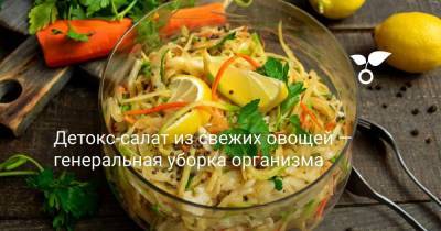 Детокс-салат из свежих овощей — генеральная уборка организма - sadogorod.club