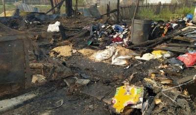 Под Екатеринбургом сгорел приют для животных: погибли 30 собак - mur.tv - Екатеринбург