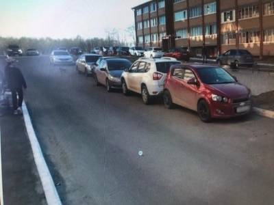 В Сыктывкаре собака спровоцировала ДТП с пятью автомобилями - mur.tv - Сыктывкар