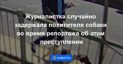 Журналистка случайно задержала похитителя собаки во время репортажа об этом преступлении - mur.tv