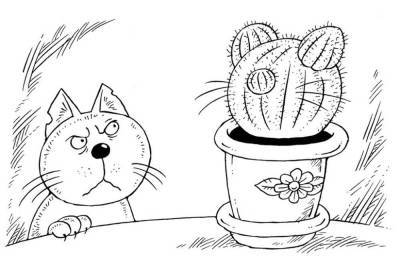 Коты и растения: пять советов от екатеринбургского эксперта о том, как уберечь их друг от друга - sadogorod.club