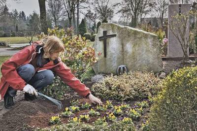 Что посадить на кладбище: неприхотливые многолетние цветы - lublusebya.ru