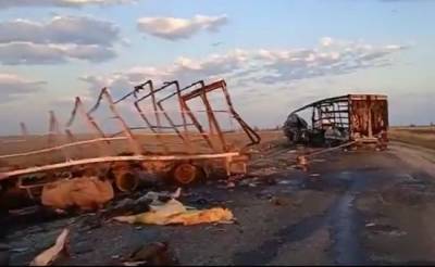 В Казахстане в ДТП погибли 2 человека и 39 лошадей - mur.tv - Самара - Казахстан