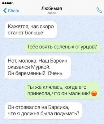 16 СМС от вторых половинок, которых хлебом не корми — дай что-нибудь отчебучить - chert-poberi.ru