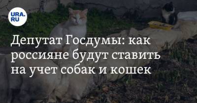 Владимир Бурматов - Депутат Госдумы: как россияне будут ставить на учет собак и кошек - mur.tv - Россия