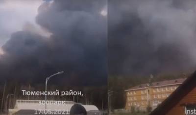 Около Тюмени чуть не сгорел зоопарк, но в последний момент сменился ветер - mur.tv - Россия - Тюмень
