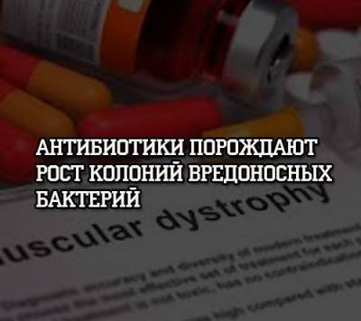 Антибиотики порождают рост колоний вредоносных бактерий - psihologii.ru