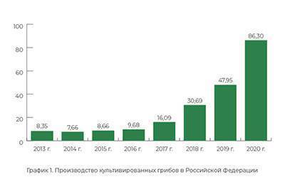 Рынок грибов в России и в мире - sadogorod.club - Китай - Россия
