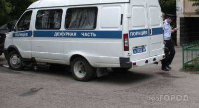 В Новочебоксарске всю ночь искали двух мальчиков с собакой - mur.tv - республика Чувашия - Новочебоксарск