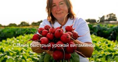 Самый быстрый урожай витаминов - sadogorod.club