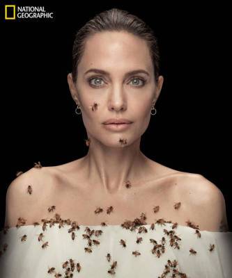 Анджелина Джоли - Пчелы на мед: Анджелина Джоли в проекте National Geographic - elle.ru