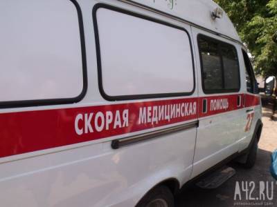 Власти Новокузнецка прокомментировали инцидент с нападением собаки на женщину - mur.tv
