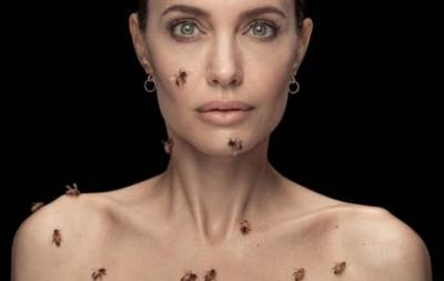 Анджелина Джоли - Спасая пчел: Анджелина Джоли появилась в проекте National Geographic - hochu.ua
