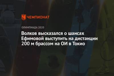 Волков высказался о шансах Ефимовой выступить на дистанции 200 м брассом на ОИ в Токио - mur.tv - Россия - Токио