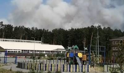 Зоопарк в Винзилях временно закрыт из-за лесных пожаров - mur.tv