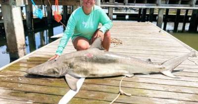 В США школьной учительнице удалось поймать опасную акулу рекордных размеров (фото) (3 фото) - mur.tv - Сша - Таиланд - штат Южная Каролина
