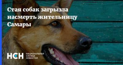 Стая собак загрызла насмерть жительницу Самары - mur.tv - Самара - Самарская обл.