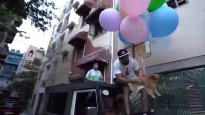 ЧП. В Индии задержали блогера, пустившего собаку на воздушных шарах в полет - mur.tv - Индия