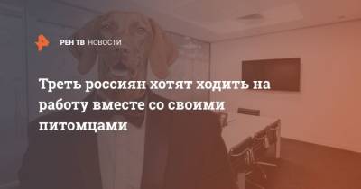 Треть россиян хотят ходить на работу вместе со своими питомцами - mur.tv - Сша