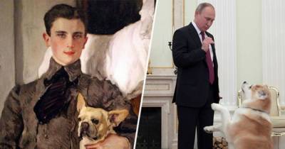 Как в России менялась мода на разные породы собак - mur.tv - Россия
